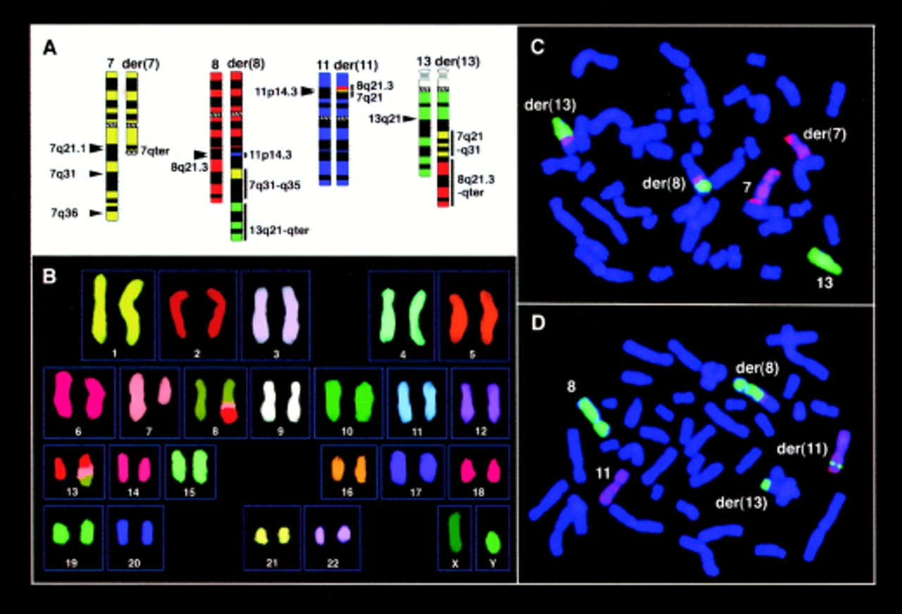 Cytogenetics-Development